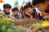 幼儿园逗蚂蚁，如何开展趣味自然教育？